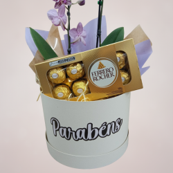 Mini Orquídea 2 Hastes Pote 9 - Cor Variada + Chocolate - Parabéns